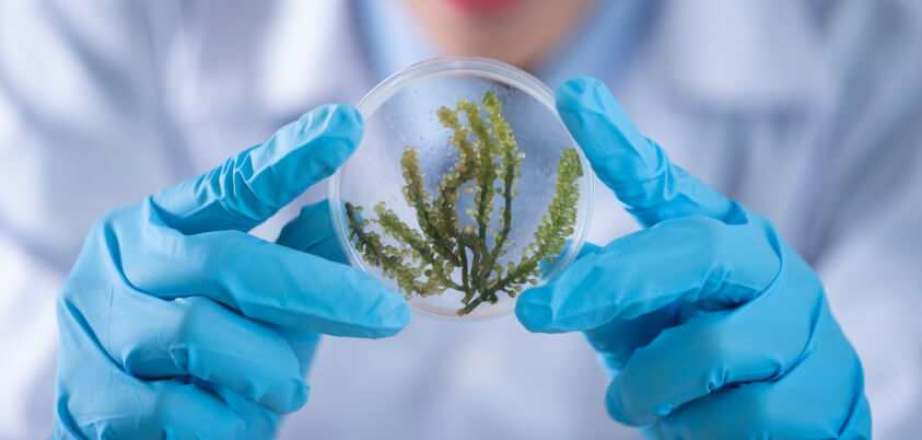 Medication Concerns and COVID-19 Symptoms in Older Adults